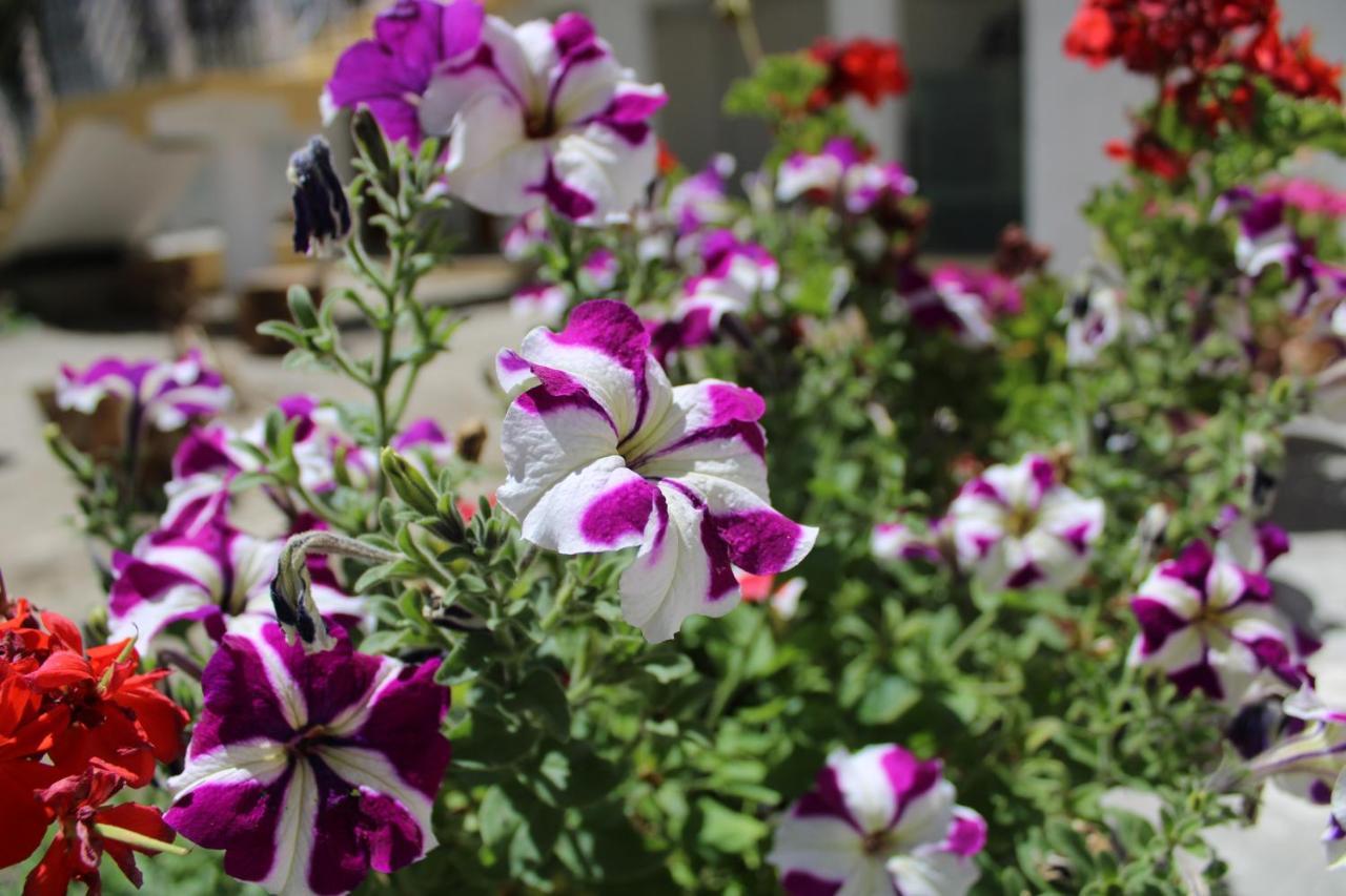 Sernang Homestay Hundar Екстер'єр фото