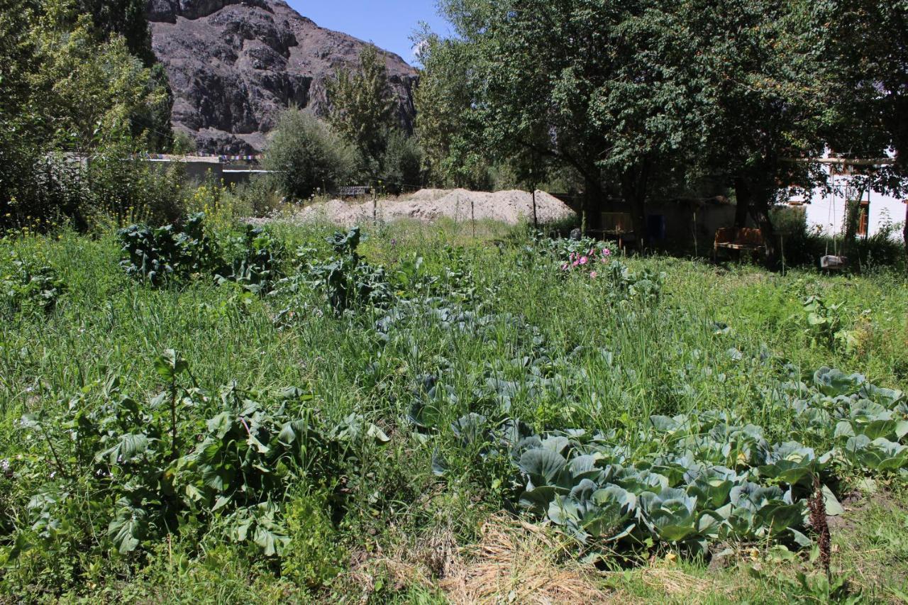 Sernang Homestay Hundar Екстер'єр фото