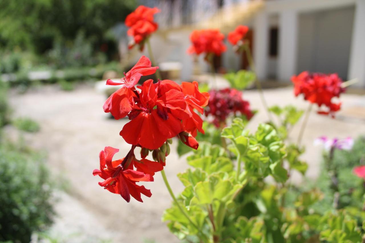 Sernang Homestay Hundar Екстер'єр фото