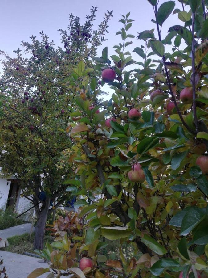 Sernang Homestay Hundar Екстер'єр фото